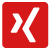 Xing icon